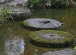 round stepping stones across a creek