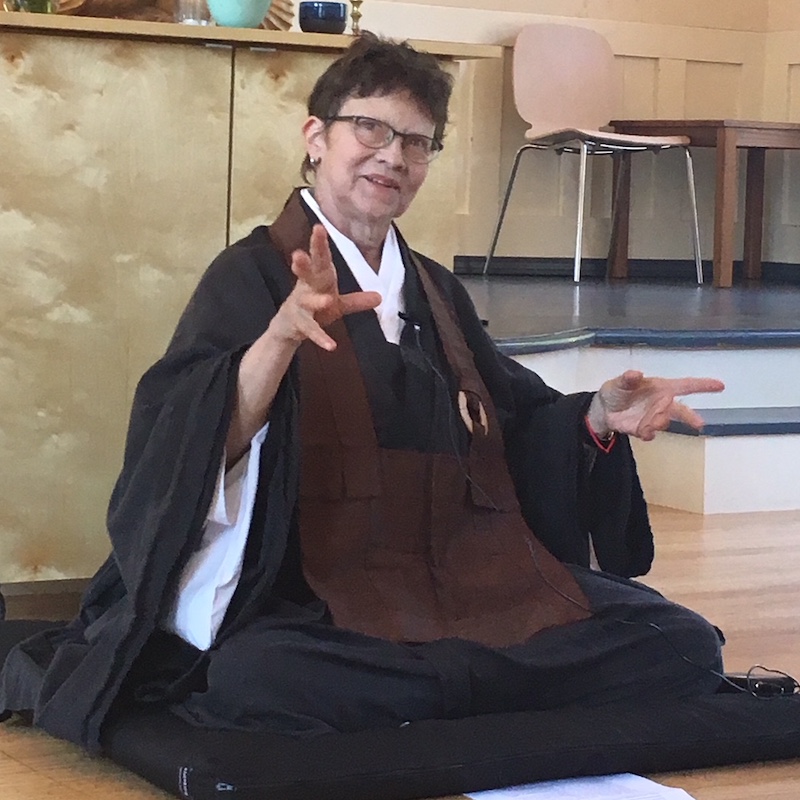 Buddhist teacher Genko Kathy Blackman sitting on a cushion, gesturing during a dharma talk.