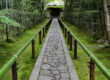 stone path with green bamboo railings and forest