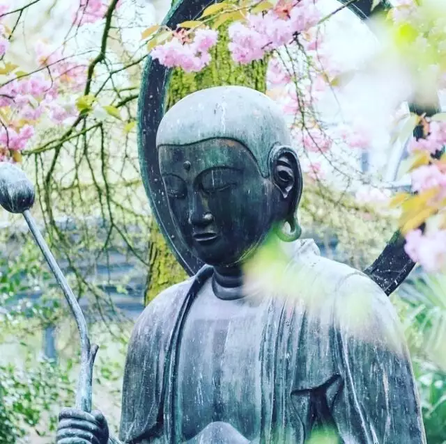 buddha in meditation surrounded by cherry blossoms