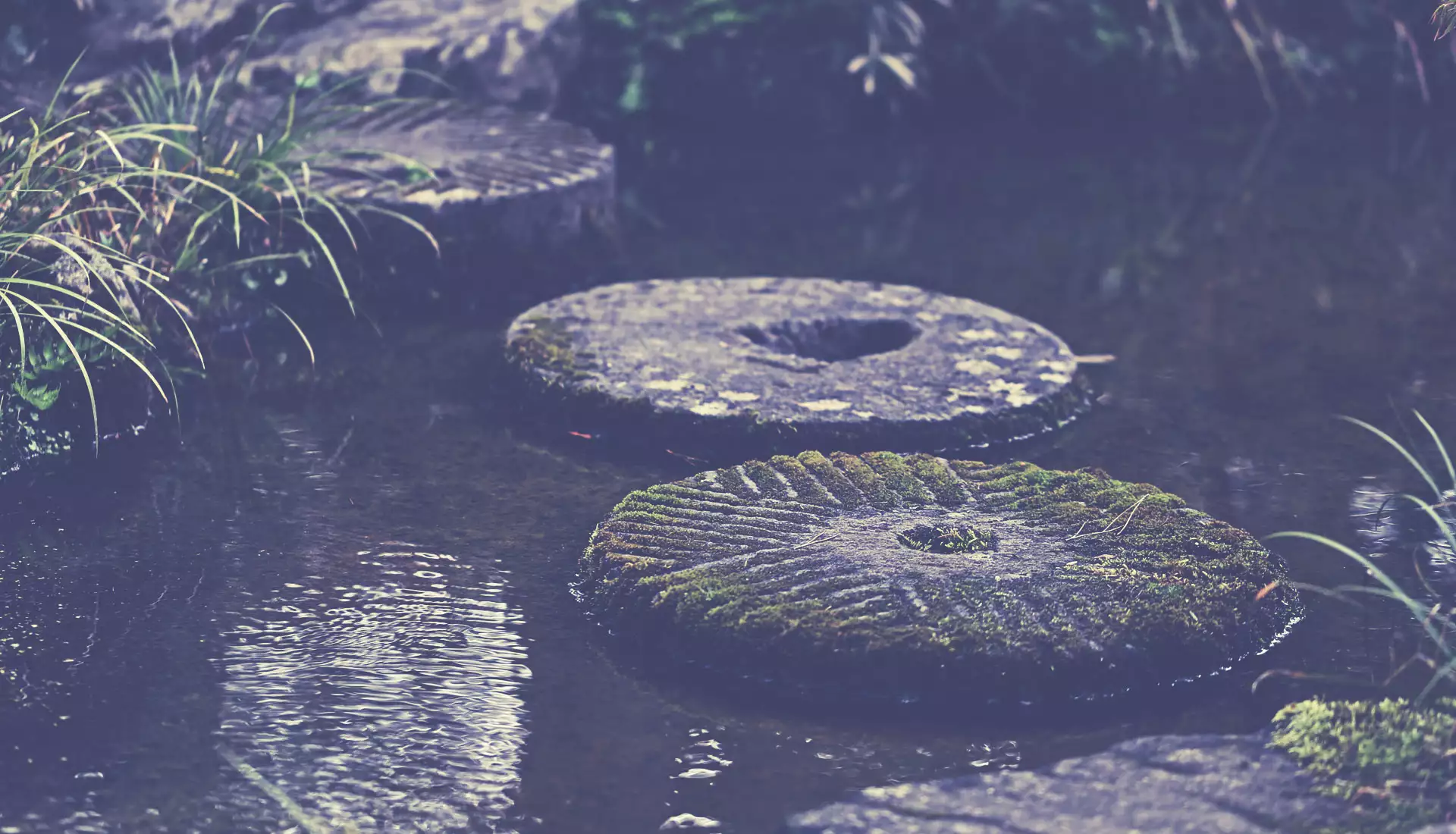 round stone stepping stones across calm water