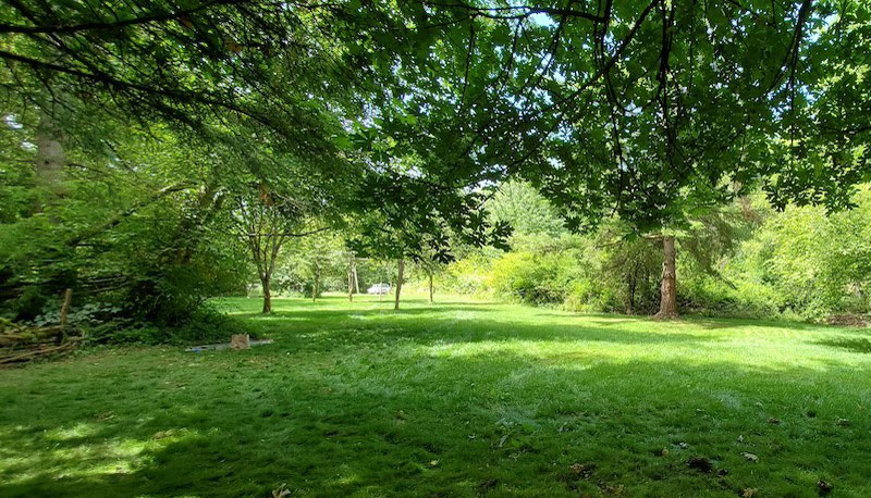 Grass and trees on the land owned by the Zen Center