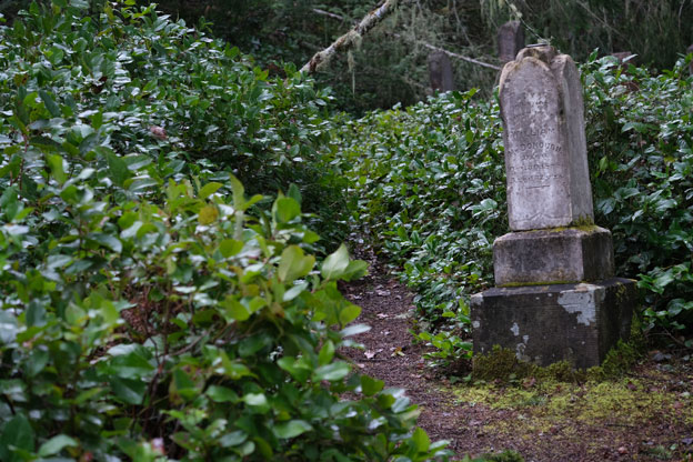 A gravestone by a narrow path, surrounded by bushes.