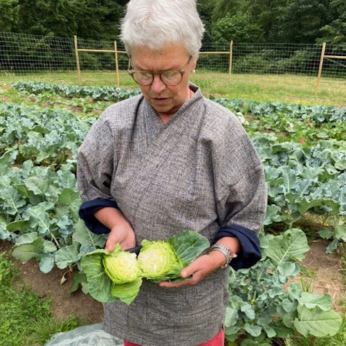 Shuko holding a cut cabbage in front of her garden.